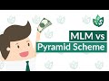 Multi-Level Marketing vs Pyramid Scheme: What's the Difference?