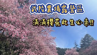 武陵農場露營區｜櫻花露營區｜營區介紹｜【露營Vlog】ep.7