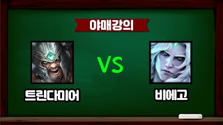 [야매강의] 트린다미어 vs 비에고