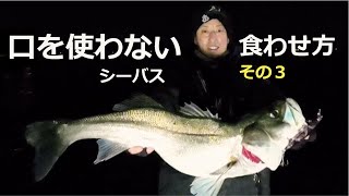 冬の口を使わないシーバス　カラーチェンジ編