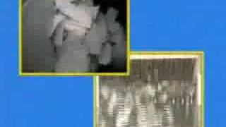 NJ Paper Shredding & Document Destruction - Mobile Shredder