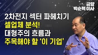 2차전지 섹터가 많아서 고민이라고요? 섹터 파헤치기! 셀업체! 대형주들의 흐름과 주목해야할 '이 기업' [금양 박순혁 이사]