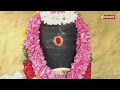 அருள்மிகு கரும்பழத்து கைலாசத்து மகாதேவர் திருக்கோயில் aalaya dharisanam vasanth tv