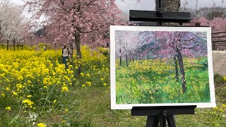 280/枝垂れ桜🌸と菜の花！