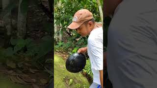 simpleng tanghalian sa bukid| #vlog