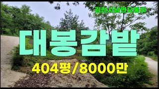 김천시 남면 오봉리 토지매매 오봉저수지근처 용도다양한 대봉감밭 급매 404평 당20만8000만 #오봉리토지매매#김천땅매매 #김천토지매매 #귀농귀촌 #김천전원주택지#구미전원주택지#