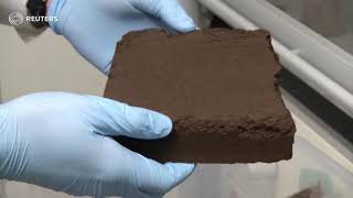Energy from bogs: using peat to make batteries