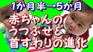 赤ちゃんのうつぶせ練習と首すわり 生後１か月から５か月でどう進化した！？