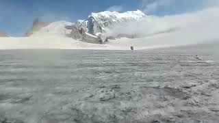 Panpatia Col Expedition || Panpatia Col Ice Field ||  Bharat Puspwan || Adventure Exped || Tours