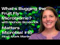 Matters Microbial #16: What’s bugging the fruit fly microbiome?