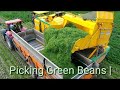 Picking Green Beans | New Ploeger BP2140e Bean Picker  | Laarakker Well | Harvesting Haricot Verts