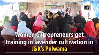 Women entrepreneurs get training in lavender cultivation in J\u0026K’s Pulwama