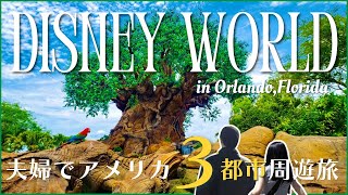 ［Disney World Trip］Animal Kingdom 、Epcotで大興奮😆｜念願のArt of Animation Resort宿泊！ライオンキング愛強め旅🦁