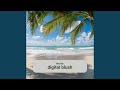 Digital Blush