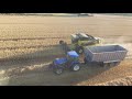 harvest 2018