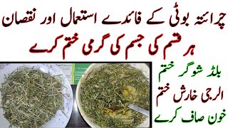 Health Benefits of Charaita | chirata ke fayde | chirata peene ka tarika | chirata buti ke nuksan