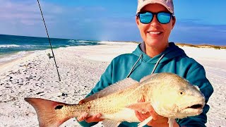 Catching GIANT FISH from BEAUTIFUL BEACH!!!