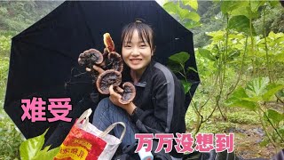 灵芝采摘正过瘾，没想到大姨妈就找上门来，小妹只能无奈被迫返回