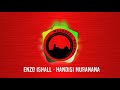 ENZO ISHALL - HANDISI MUBANANA