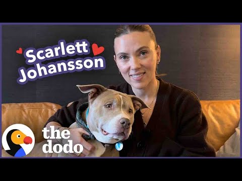 Scarlett Johansson Goes on A Dodo Dream Date The Dodo
