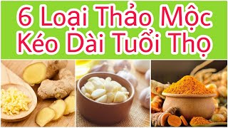 6 LOẠI THẢO MỘC, GIA VỊ NGAY TRONG GIA ĐÌNH BẠN GIÚP KÉO DÀI TUỔI THỌ.