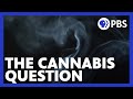 The Cannabis Question | Extended Preview | NOVA | PBS