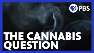 The Cannabis Question | Extended Preview | NOVA | PBS
