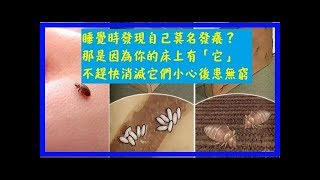 睡覺時發現自己莫名發癢？那是因為你的床上有「它」，不趕快消滅它們小心後患無窮！