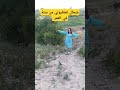 شحال تعطيوني من سنة في العمر 😱🤣 عروبية و افتخر