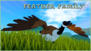 I found a roblox game where I can become a BIRD || Feather Family