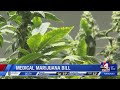 10pm medical marijuana bill