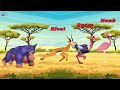 safari animal sounds song safari animals animal sounds song kids tv