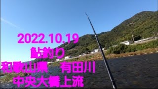 2022.10.19  和歌山県　有田川　中央大橋上流　鮎釣り