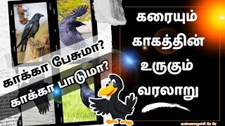 காக்கா கதை | காக்கைக்கும் கதையுண்டு | காகத்தின் வாழ்வியல் | Story of the crow