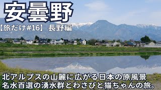 【旅だけ】第16話　安曇野へ。日本アルプスを望む絶景とわさびと猫ちゃん。長野旅行完結。