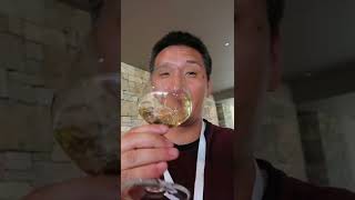 The experience of tasting AGED wine vs YOUNG wine #shorts