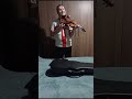 goodbye air supply - violin cover Gabriel da Silva violinista