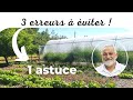 1 astuce et 3 erreurs à éviter au potager !