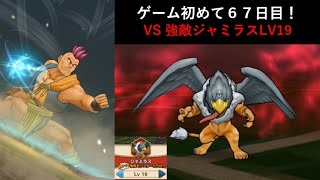 【ドラクエウォーク】ゲーム初めて６７日目！強敵ジャミラスLV19と戦ってみた！ ハッサンの超せいけんづきがやばかった・・。