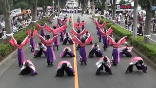 20220806東京学生”生っ粋”「輪結び」彩夏祭公園通り南パレード1回目