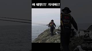 아 제발! 가지마!!!                             #원투 #fishing #다이와 #돌돔