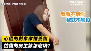 心儀的對象家裡養貓  怕貓的男生該怎麼辦? ｜小編特搜｜NOWnews