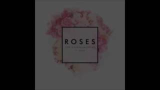The Chainsmokers Roses Lyrics