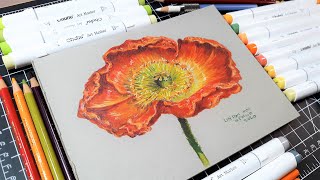 How To Draw a Poppy flower in Marker/Colored Pencils on Grey Mixed Media Paper (
