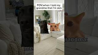 Cat meme😹 When I told my grandma that I'm sick #cat #meowmemes #catmeme #funny