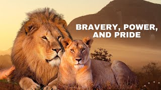 Lion Tales: Stories of Bravery, Power, and Pride || Wild Wonderscape