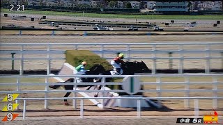 小倉5レース障害未勝利 クラップサンダー