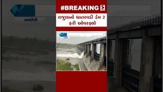 Rajula News | રાજુલાનો ધાતરવડી ડેમ 2 ફરી ઓવરફ્લો | Monsoon | Dam Overflow