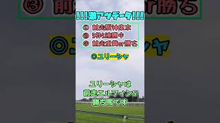 【アーリントンカップ2023】激アツデータ予想！【ぷるるん競馬】#Shorts