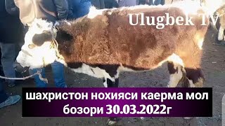 шахристон нохияси каерма мол бозори 30.01.2022